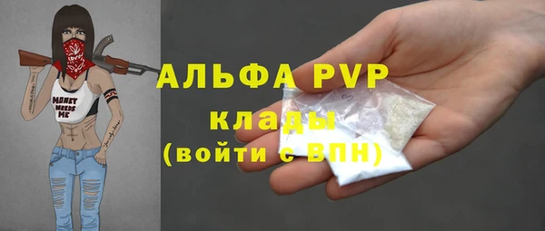сатива Болхов