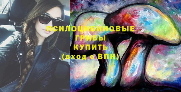 экстази Новодвинск