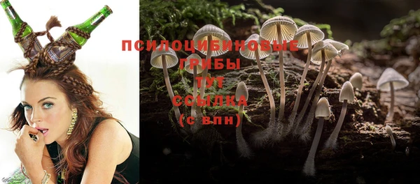 экстази Новодвинск
