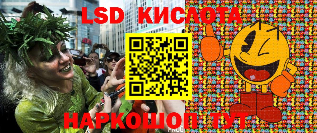 A PVP Касимов