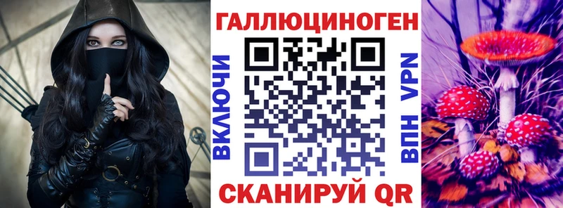 гидра как зайти  Касимов  Галлюциногенные грибы мухоморы 