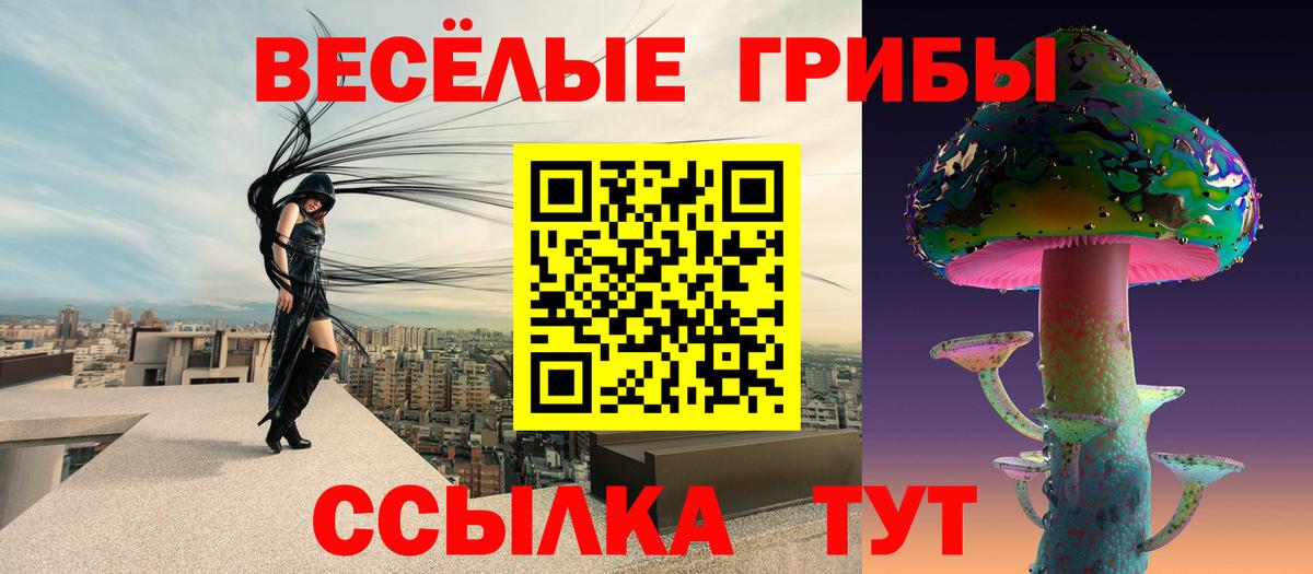 Касимов  Галлюциногенные грибы Psilocybine cubensis  Вход с VPN 