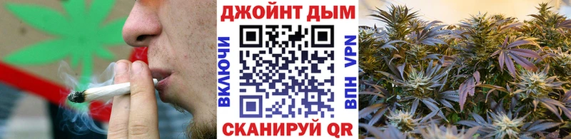 Конопля сатива  даркнет как зайти  Касимов 
